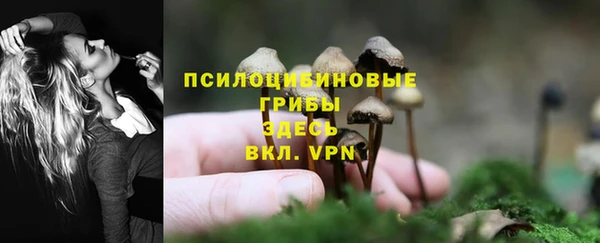 ешки Вяземский