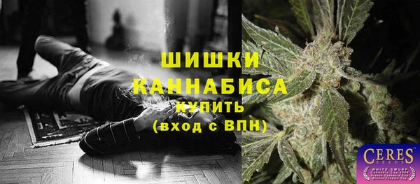 ешки Вяземский