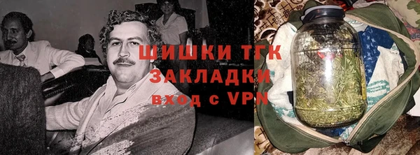 ешки Вяземский