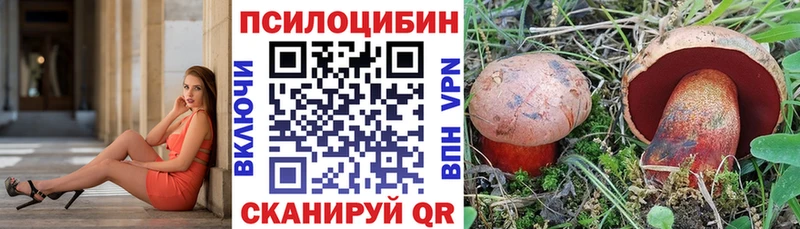 Купить закладки  Северск  Псилоцибиновые грибы Cubensis 