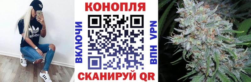 Купить  Северск  Бошки марихуана планчик 
